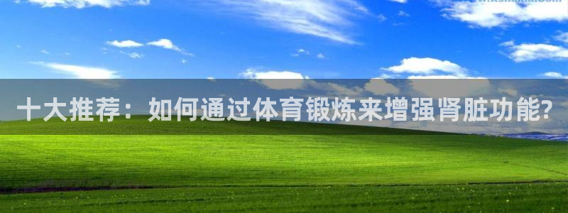 十大推荐：如何通过体育锻炼来增强肾脏功能?