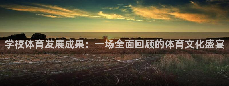 学校体育发展成果：一场全面回顾的体育文化盛宴
