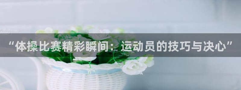 “体操比赛精彩瞬间：运动员的技巧与决心”
