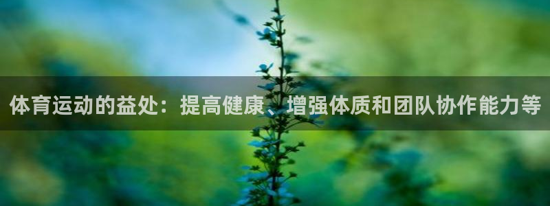 体育运动的益处：提高健康、增强体质和团队协作能力等