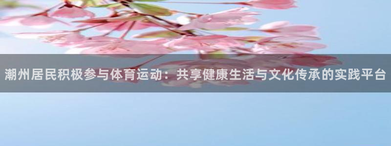 潮州居民积极参与体育运动：共享健康生活与文化传承的实践平台