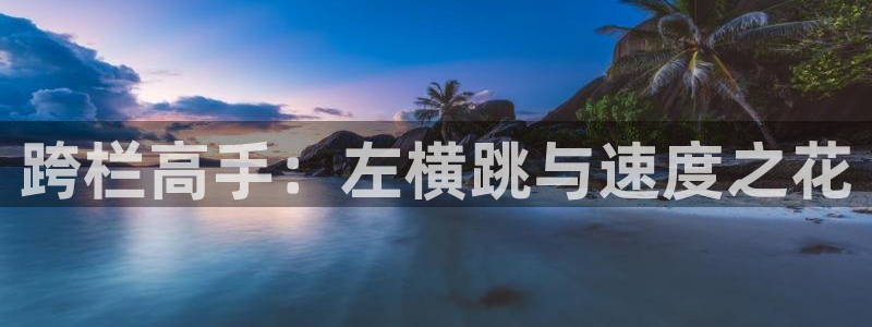 跨栏高手：左横跳与速度之花