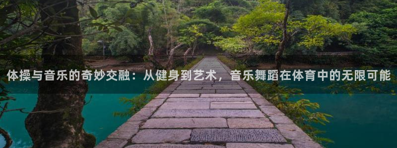 体操与音乐的奇妙交融：从健身到艺术，音乐舞蹈在体育中的无限可能
