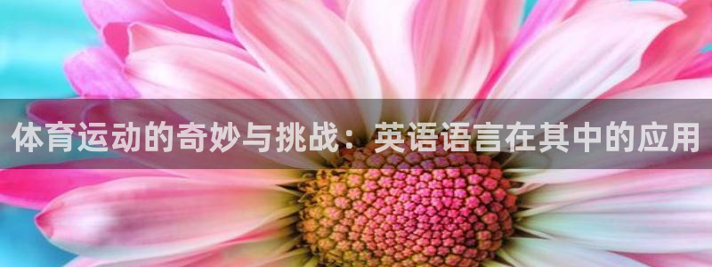 体育运动的奇妙与挑战：英语语言在其中的应用
