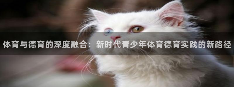 体育与德育的深度融合：新时代青少年体育德育实践的新路径
