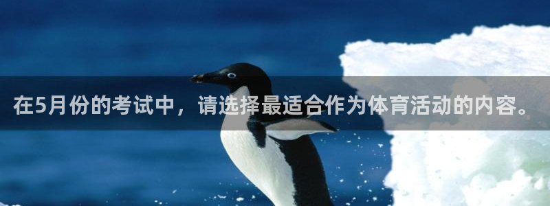 在5月份的考试中，请选择最适合作为体育活动的内容。
