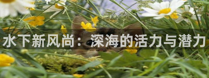 水下新风尚：深海的活力与潜力