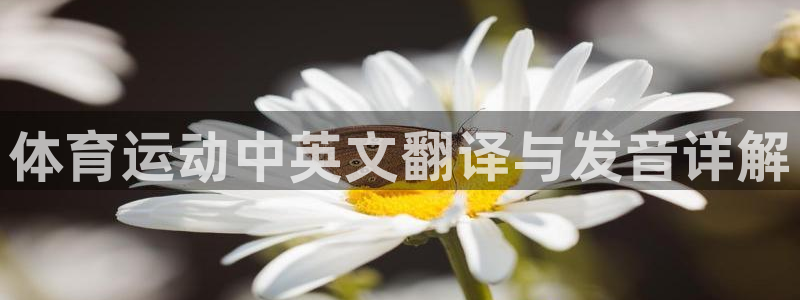 体育运动中英文翻译与发音详解