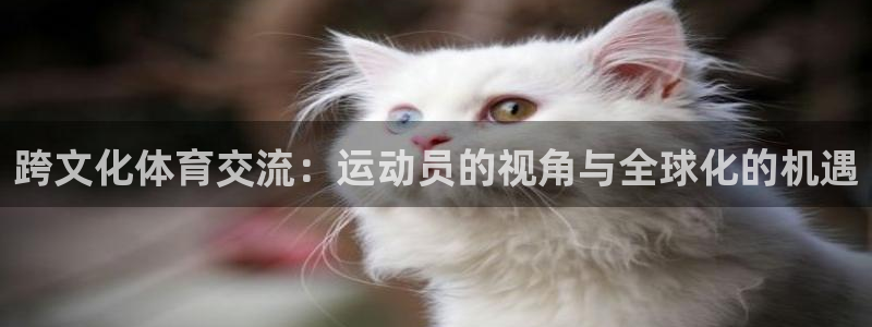 跨文化体育交流：运动员的视角与全球化的机遇