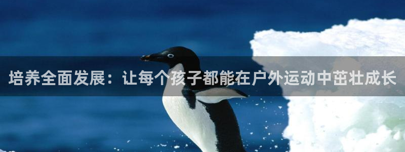 培养全面发展：让每个孩子都能在户外运动中茁壮成长