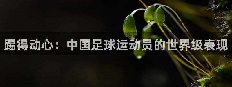 踢得动心：中国足球运动员的世界级表现