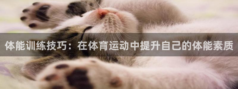 体能训练技巧：在体育运动中提升自己的体能素质