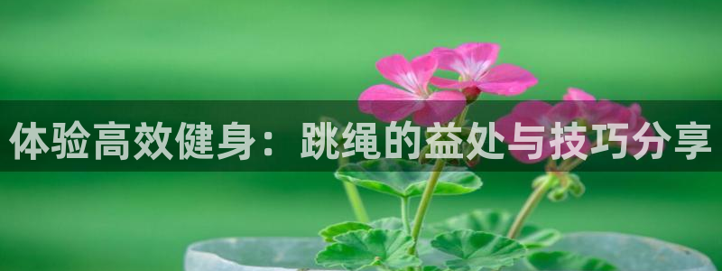 体验高效健身：跳绳的益处与技巧分享