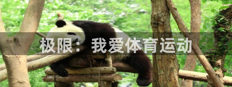 极限：我爱体育运动