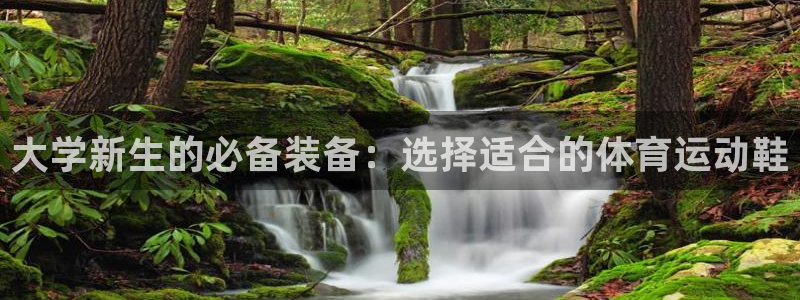 大学新生的必备装备：选择适合的体育运动鞋
