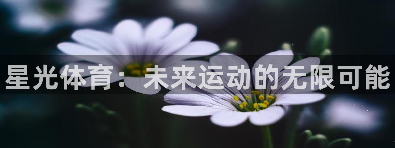 星光体育：未来运动的无限可能