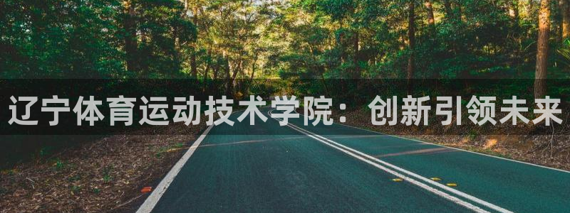 辽宁体育运动技术学院：创新引领未来