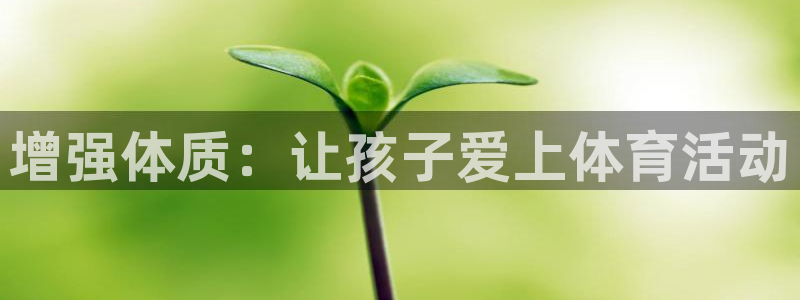 增强体质：让孩子爱上体育活动