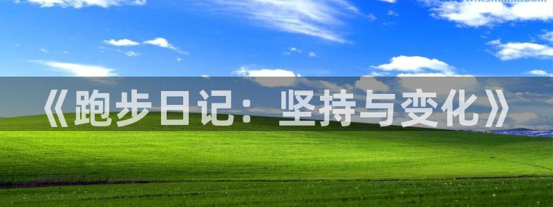 《跑步日记：坚持与变化》