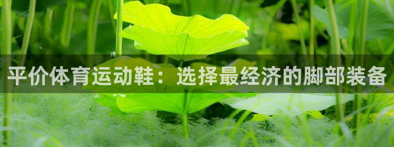 平价体育运动鞋：选择最经济的脚部装备