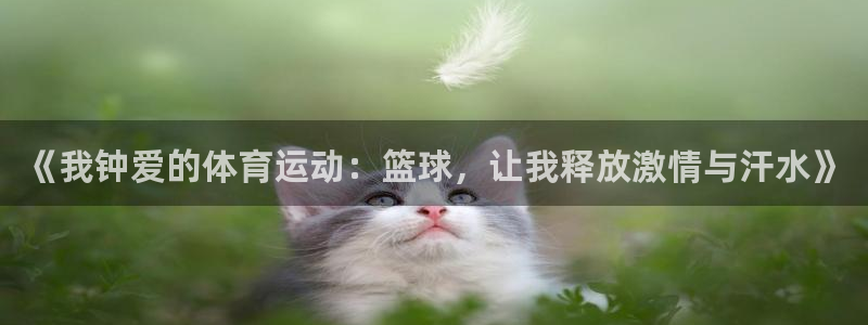 《我钟爱的体育运动：篮球，让我释放激情与汗水》
