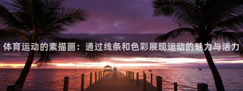 体育运动的素描画：通过线条和色彩展现运动的魅力与活力