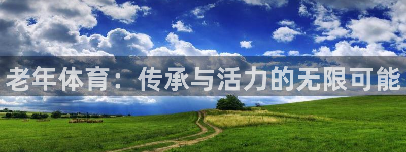 老年体育：传承与活力的无限可能