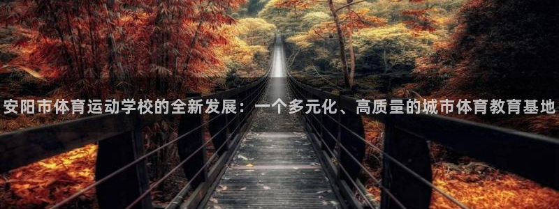 安阳市体育运动学校的全新发展：一个多元化、高质量的城市体育教育基地