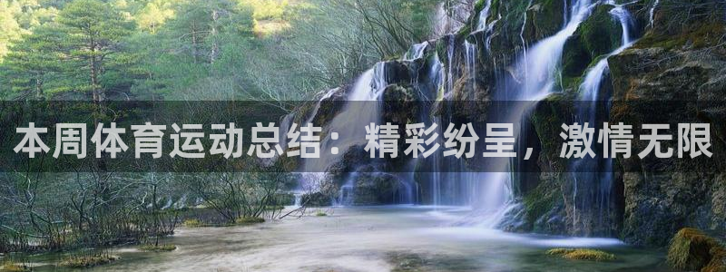 本周体育运动总结：精彩纷呈，激情无限
