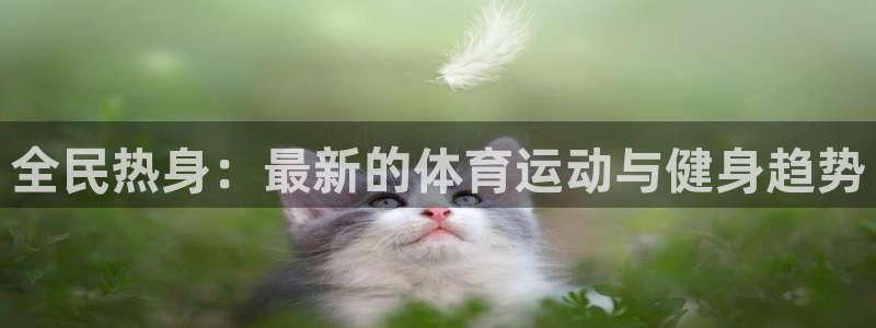 全民热身：最新的体育运动与健身趋势