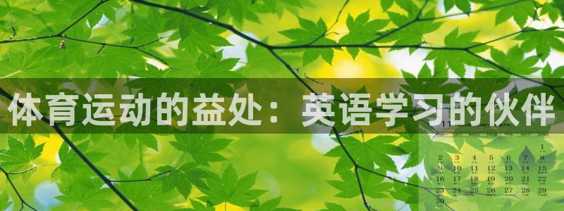 体育运动的益处：英语学习的伙伴