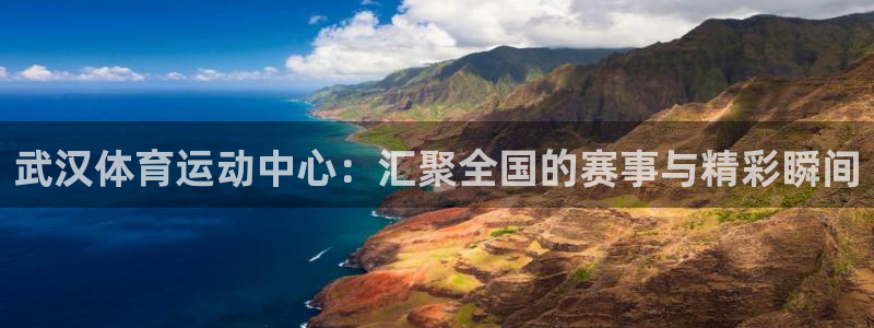 武汉体育运动中心：汇聚全国的赛事与精彩瞬间